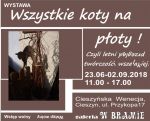 Wszystkie koty na płoty czyli letni przegląd twórczości